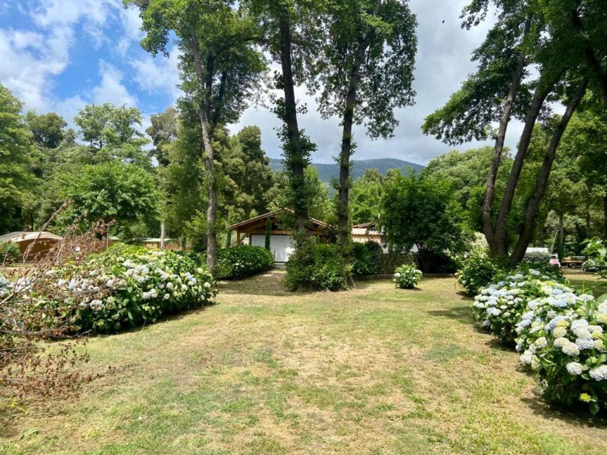 Camping Le Sagone Sagone  Dış mekan fotoğraf